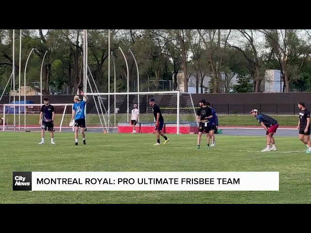 ⁣Montreal Royal: the city's pro ultimate frisbee team
