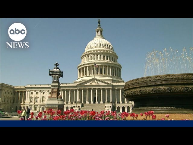 ⁣Senate conservatives vow to halt upper chamber in protest of Trump verdict