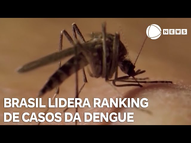 ⁣Brasil lidera ranking mundial de casos da dengue