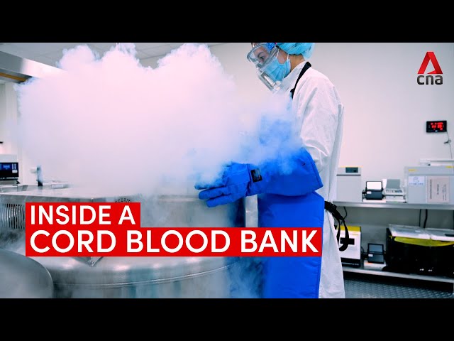 ⁣Inside a cord blood bank: How umbilical cord blood is stored at -180 degrees Celsius