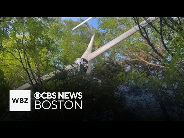 ⁣Man rescued from tree after New Hampshire glider crash