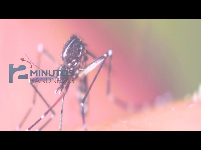 ⁣BandNews em 2 minutos (03/06/24 - Noite) Brasil tem 82% dos casos suspeitos de dengue no mundo