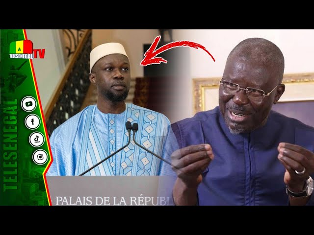 ⁣Le Sénégal menacé de déstabilisation: Babacar Gaye renvoie l'ascenseur à Sonko "mom rek..&