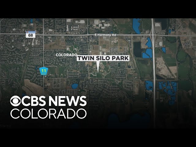 ⁣Rabid bat found in Northern Colorado at popular park