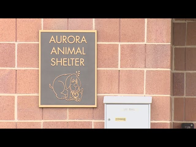 ⁣Aurora seeks public help to build a new animal shelter