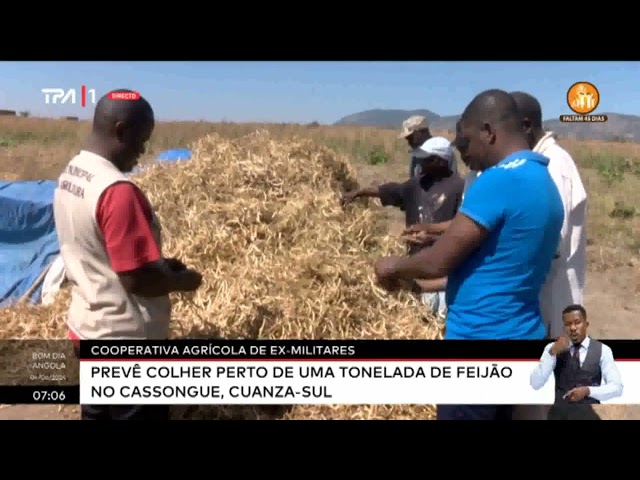 ⁣Cooperativa agrícola de ex-militares prevê colher perto de uma tonelada de Feijão no Cassongue...