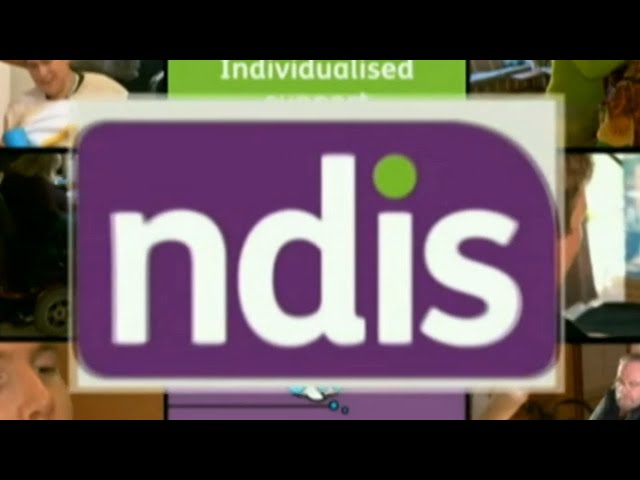 ⁣‘Smart crooks’ finding a way to ‘rort’ the NDIS: Steve Price