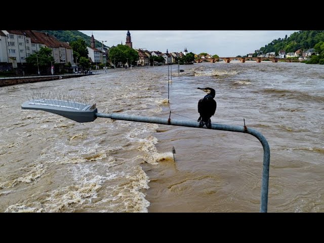 ⁣At least four dead in floods in southern Germany as situation remains critical