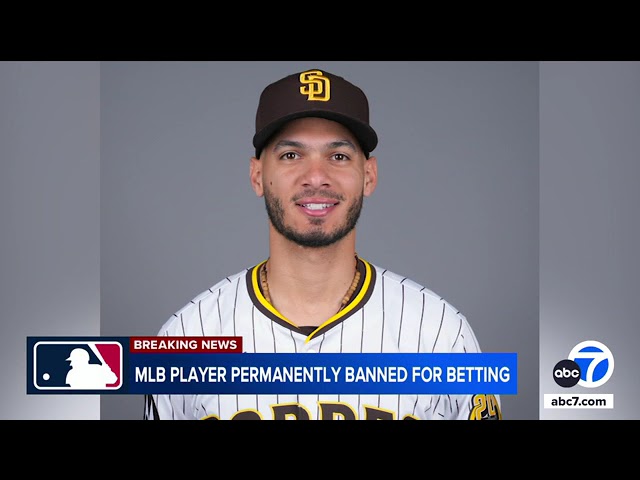 ⁣Tucupita Marcano gets lifetime MLB ban for betting on baseball