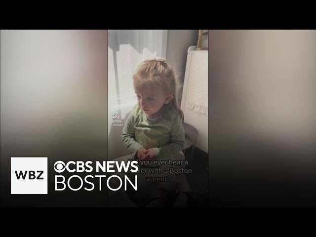 ⁣Chelmsford toddler turned TikTok sensation after viral video showcases Boston accent