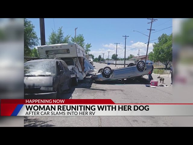 ⁣Woman reunited with dog after RV crash