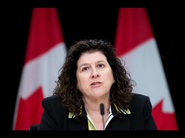 ⁣McKinsey contracts | Auditor general says feds broke their own policies