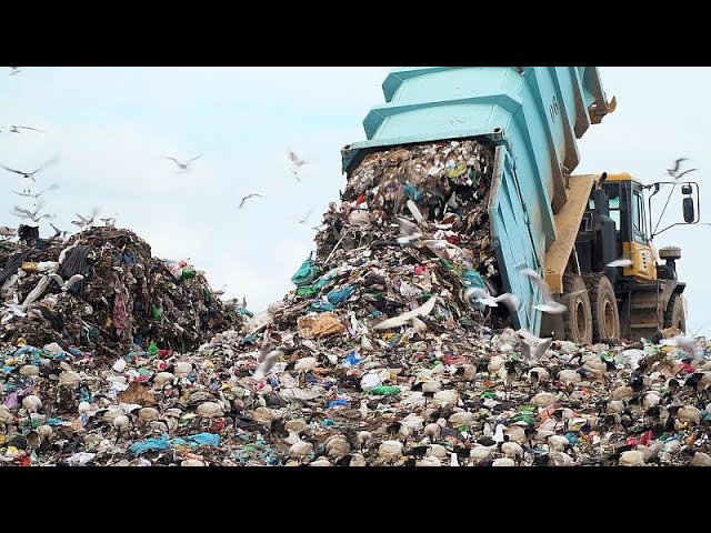 ⁣¿Qué hace la UE para combatir el tráfico ilegal de residuos?