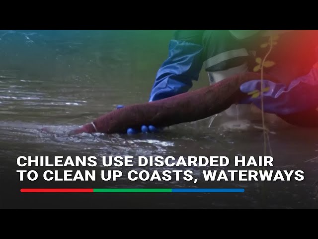 ⁣Chileans use discarded hair to clean up coasts, waterways | ABS-CBN News