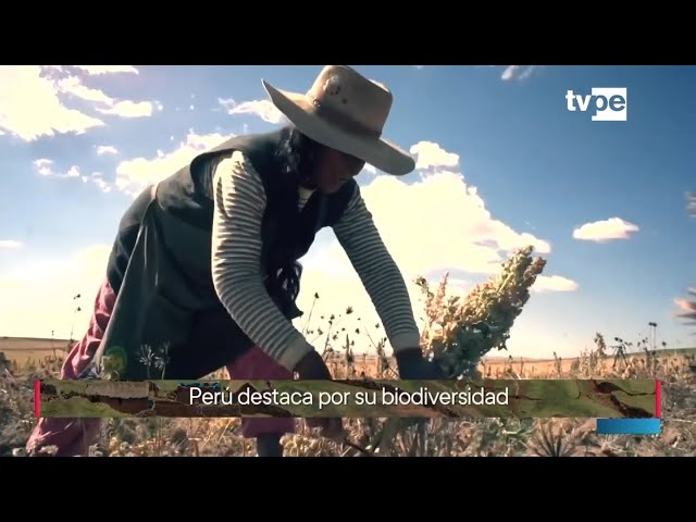 ⁣Jiwasanaka (04/06/2024) | TVPerú Noticias