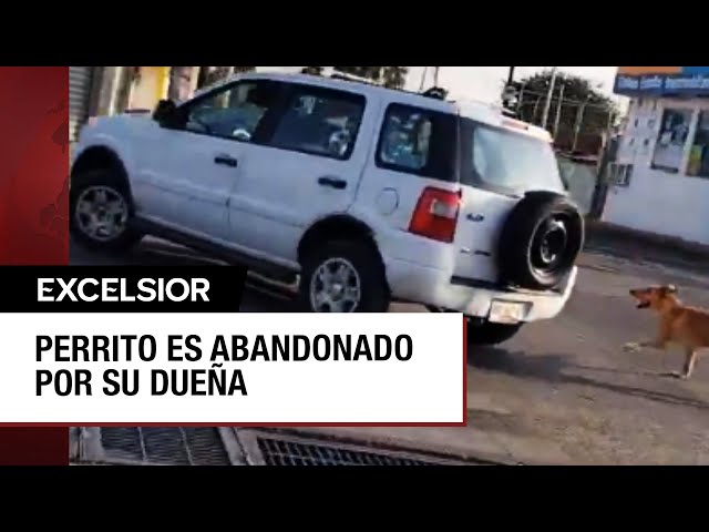 ⁣Mujer abandona a su perro en calles de Puebla