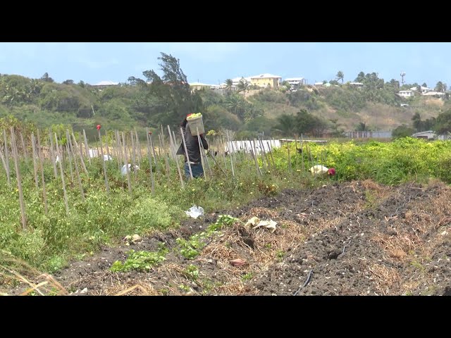 ⁣Government providing farmers with water relief