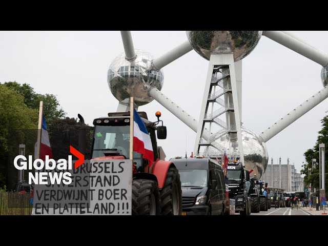 ⁣Farmer protests: Tractors take over streets of Brussels to protest EU green policies