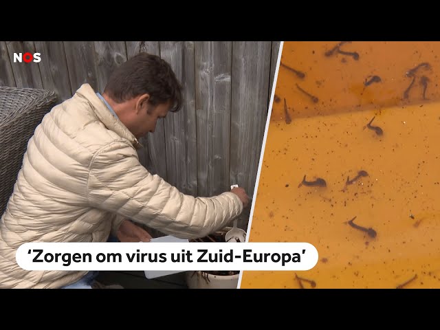 ⁣Er lijkt een muggenplaag op komst, wat kunnen we nog doen?