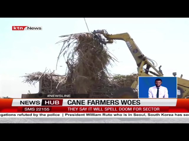⁣Cane farmers opposed to 16% VAT