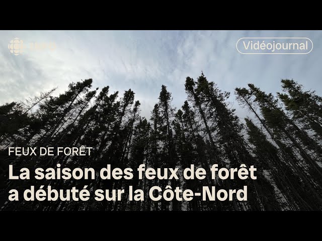 ⁣Déjà des feux de forêt sur la Côte-Nord | Vidéojournal