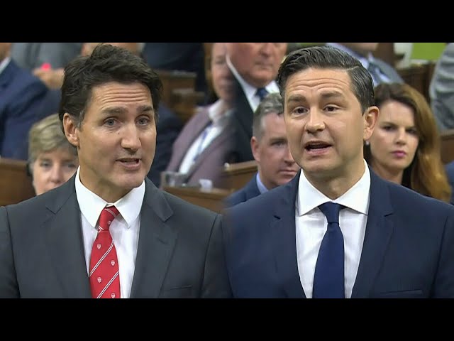 ⁣McKinsey contracts | Poilievre slams Trudeau following damning report from AG