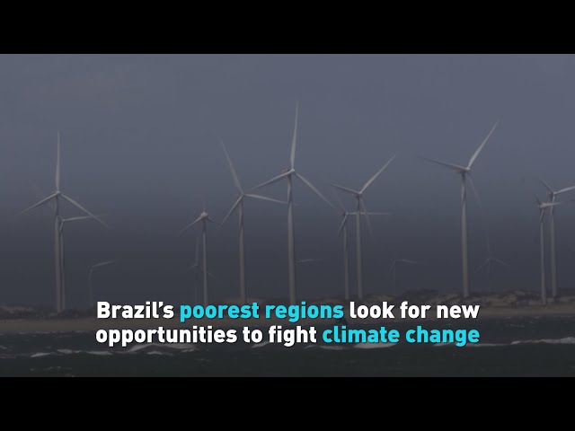 ⁣Brazil’s poorest regions look for new opportunities to fight climate change