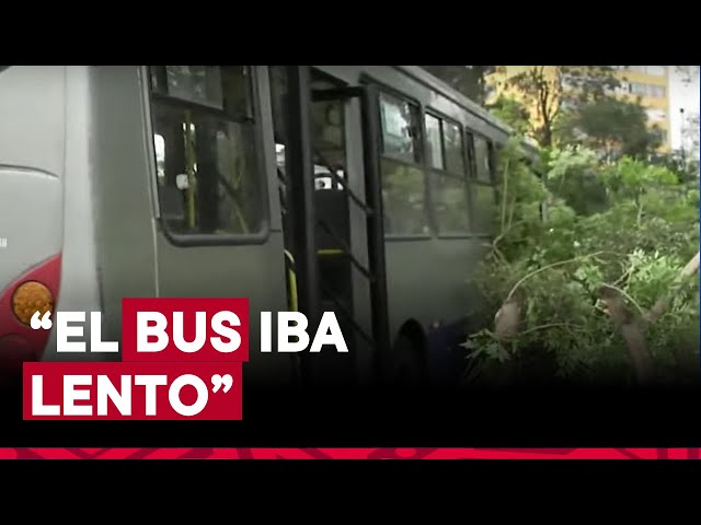 ⁣Bus del Corredor Azul se chocó con árbol en Cercado de Lima