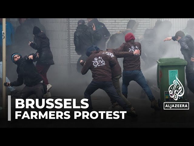 ⁣Belgium farmers protest: Demonstrations against EU climate regulations