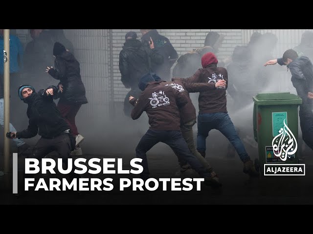 Belgium farmers protest: Demonstrations against EU climate regulations