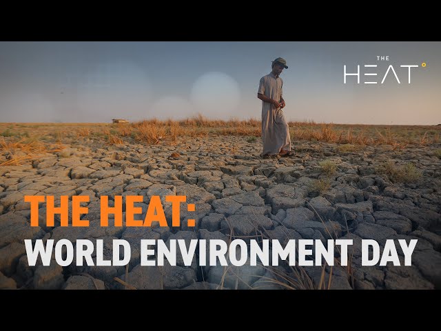 ⁣The Heat: World Environment Day