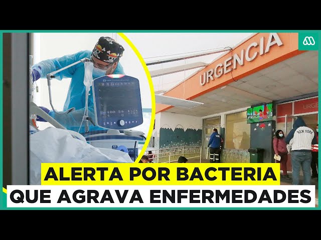 Minsal emite alerta de salud por bacteria: Estreptococo agrava las enfermedades virales