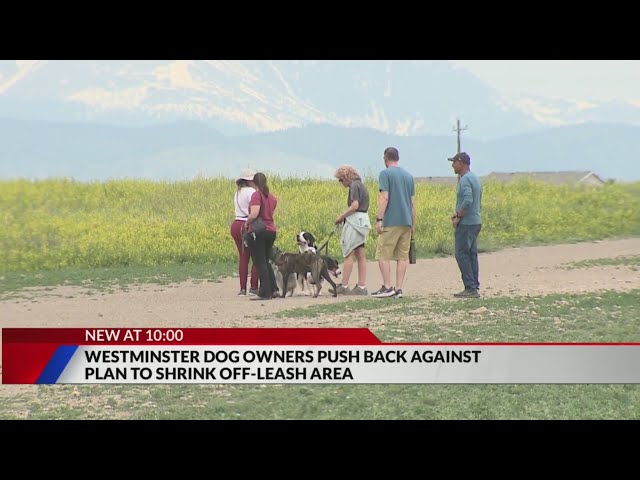 ⁣Westminster dog park plan gets neighbor pushback