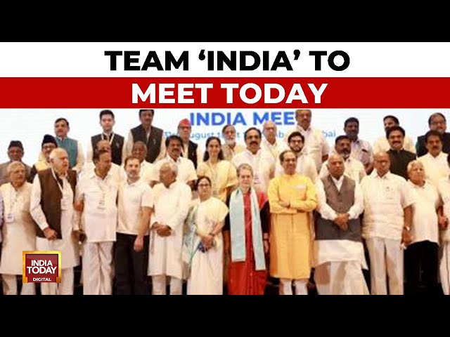 ⁣INDIA Bloc Shines In Lok Sabha Polls, Alliance Will Meet Today To Decide Further Strategy