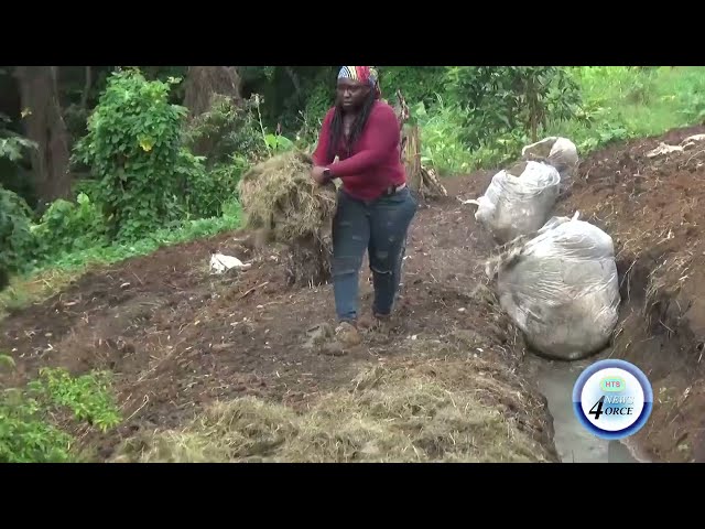 ⁣PM PIERRE SAYS OECS LEADERS ATTEMPTING TO SECURE CROP INSURANCE FOR FARMERS