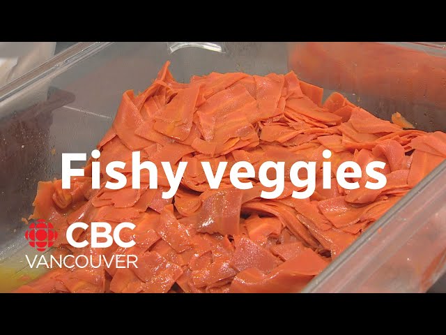 ⁣B.C. company dives into plant-based seafood alternatives