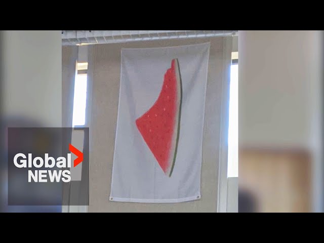 ⁣Palestinian flag in BC classroom "forces politics" on kids, mother says