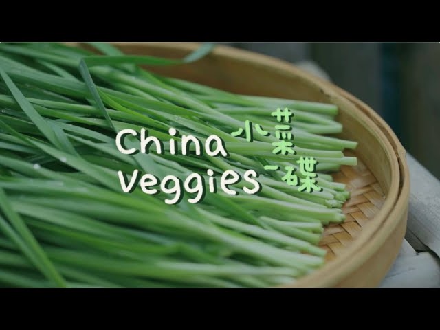 ⁣'China's Veggies' Ep. 10: Chinese chives