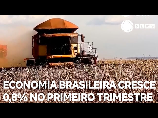 ⁣Economia brasileira cresce 0,8% no primeiro trimestre