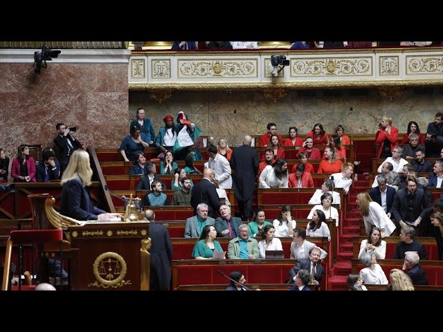 ⁣فرنسا: تعليق جلسة بالبرلمان بعد رفع نائبة يسارية العلم الفلسطيني مجددا