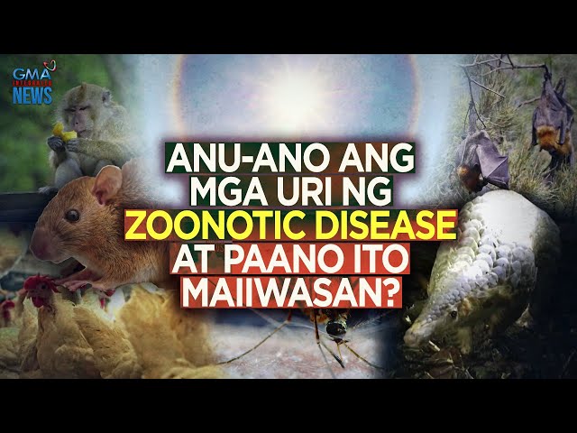 ⁣Anu-ano ang mga uri ng zoonotic disease at paano ito maiiwasan? | Need to Know