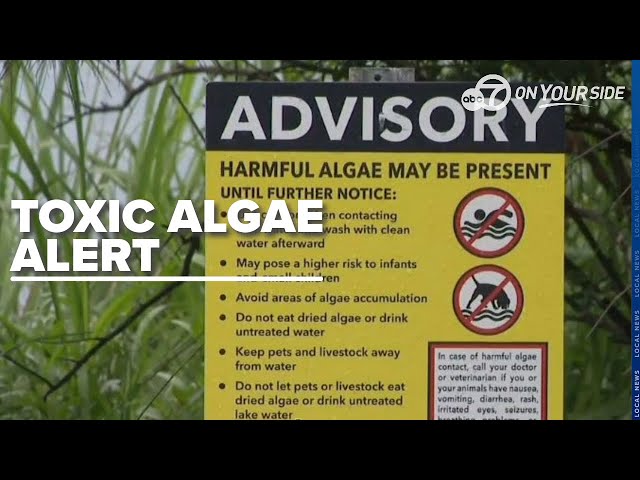 ⁣Agal Bloom algae confirmed in south Arkansas by state department of environmental quality