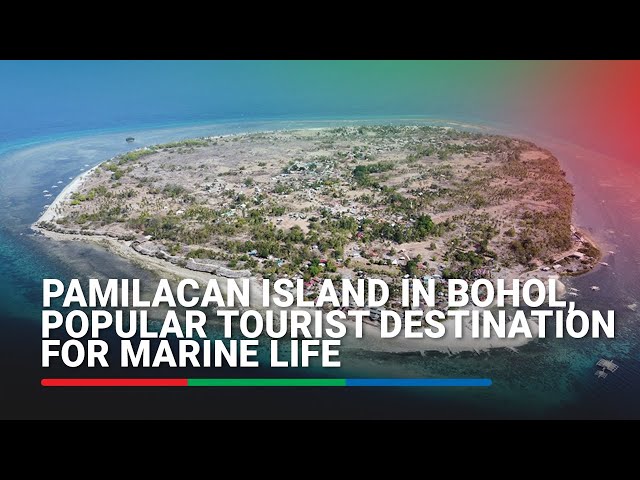 ⁣Pamilacan Island in Bohol, popular tourist destination for marine life | ABS-CBN News