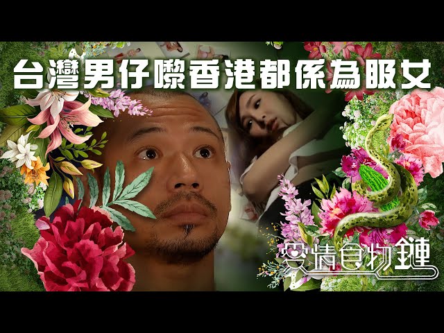 台灣男仔嚟香港都係為女｜阮小儀、金剛、陳智燊、高海寧主演時裝電視劇｜愛情食物鏈｜角色系列加長版