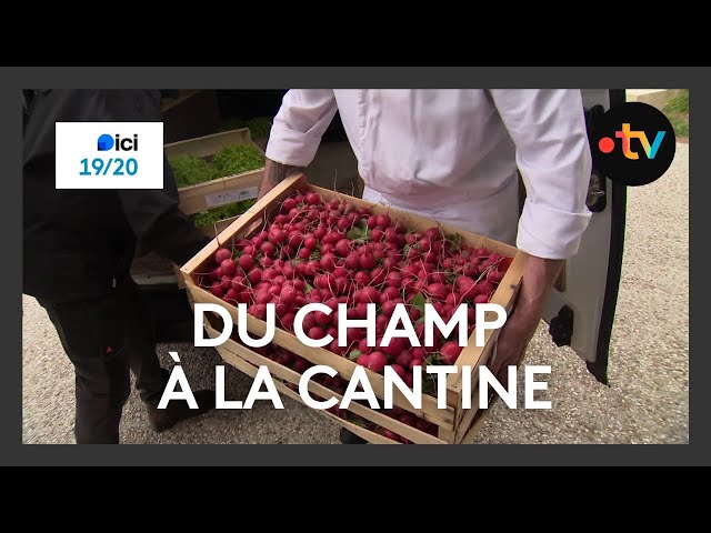 Maraîchage : du champ à la cantine