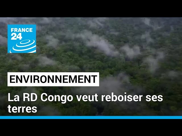 Journée mondiale de l'environnement : la RD Congo veut reboiser ses terres • FRANCE 24