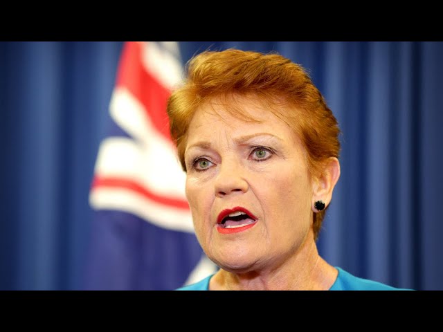 ⁣Pauline Hanson pleads for Australians to stop voting for the ‘same idiots’
