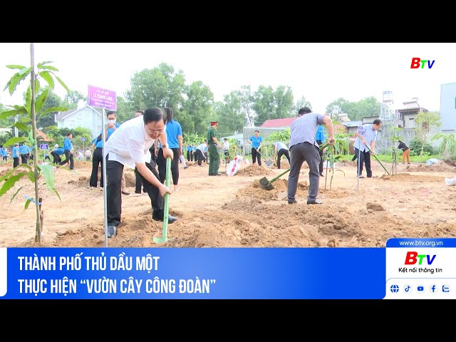 ⁣Thành phố Thủ Dầu Một thực hiện “Vườn cây công đoàn”