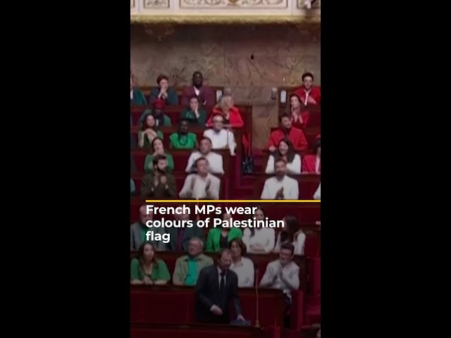 ⁣French MPs wear colours of Palestinian flag | #AJshorts