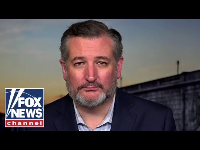 ⁣Ted Cruz: Biden thinks the voters are stupid